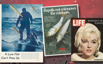 Przynęta, której …