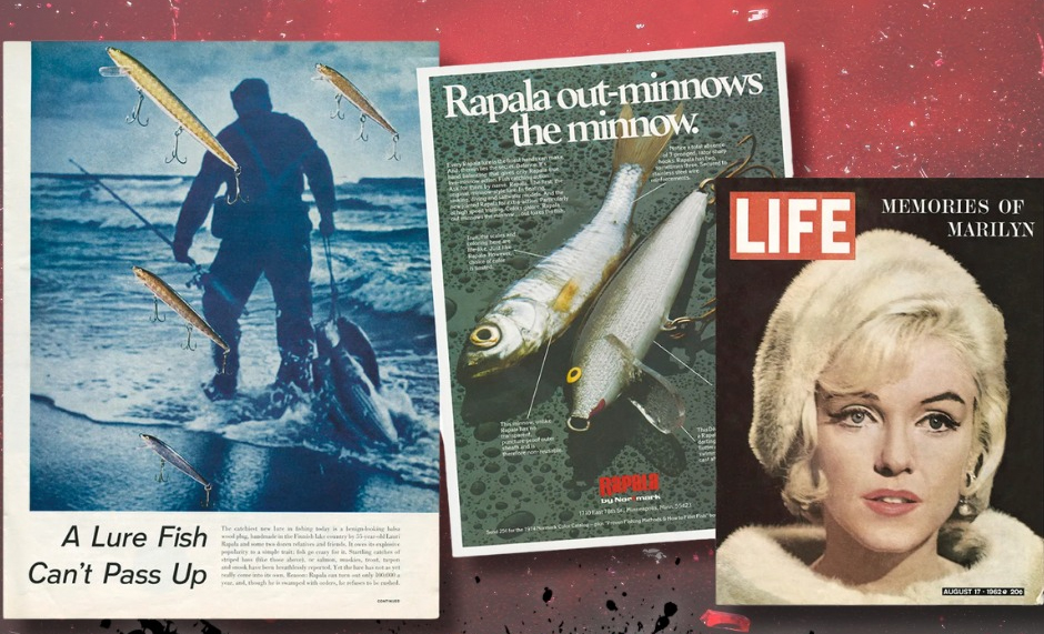 Przynęta, której …